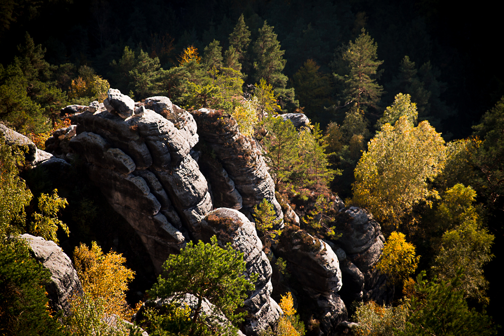 Herbst in der sächsischen Schweiz #10