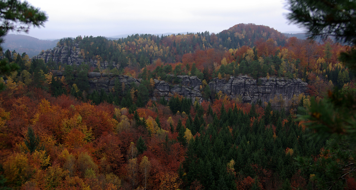 Herbst in der Sächsischen Schweiz