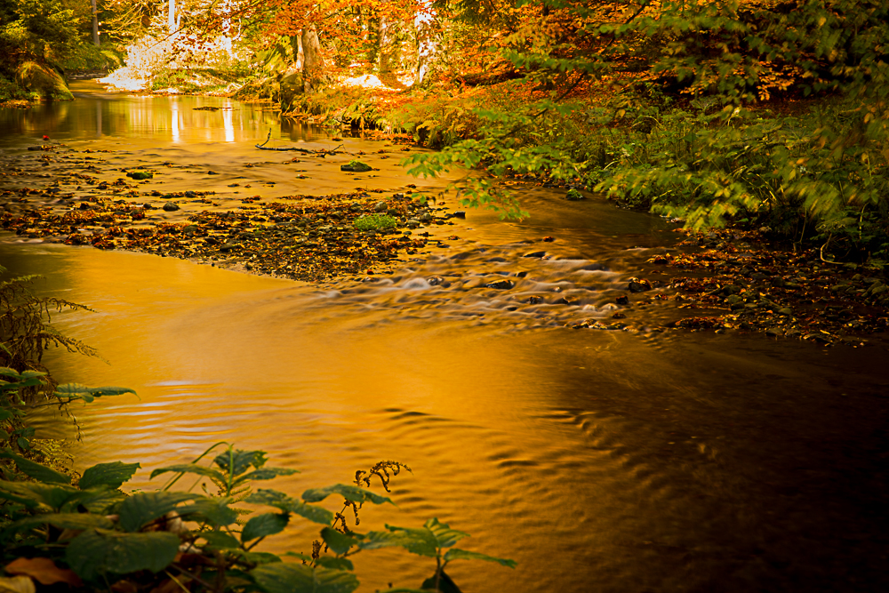 Herbst in der sächsischen Schweiz #5