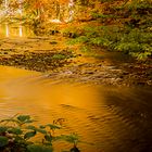 Herbst in der sächsischen Schweiz #5