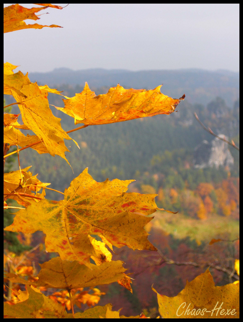 Herbst in der Sächsischen Schweiz