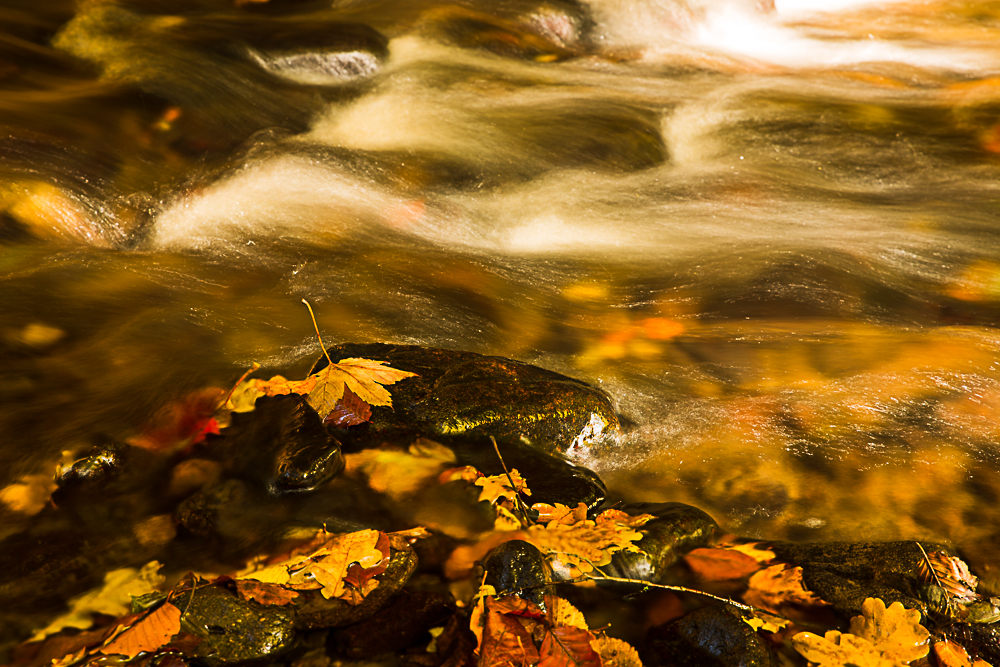 Herbst in der sächsischen Schweiz #7