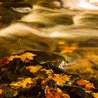 Herbst in der sächsischen Schweiz #7