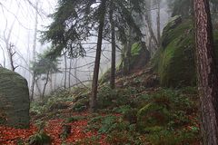 Herbst in der Sächsischen Schweiz