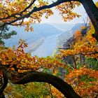 Herbst in der Sächsischen Schweiz, Deutschland