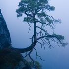 Herbst in der Sächs.Schweiz 2...