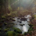 Herbst in der Saußbachklamm