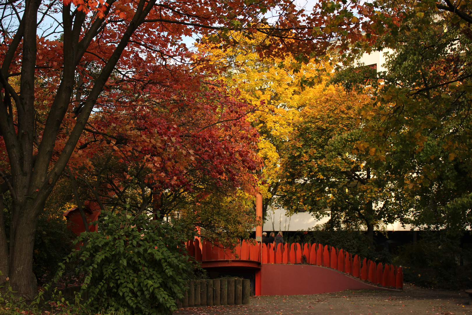 Herbst in der Schlange