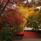 Herbst in der Schlange