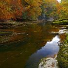 Herbst in der Schlucht