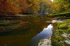 Herbst in der Schlucht