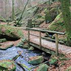 Herbst in der Schlucht