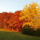 Herbst in der Schwalm