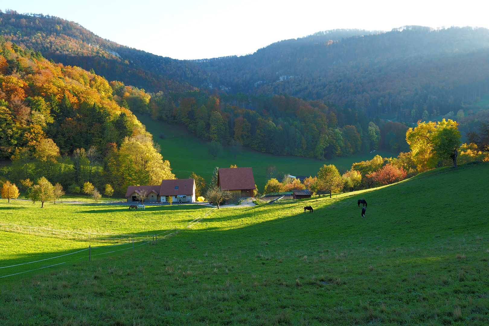 Herbst in der Schweiz