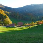 Herbst in der Schweiz