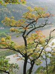 Herbst in der Schweiz (der Sächsischen)