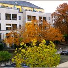 Herbst in der Siedlung