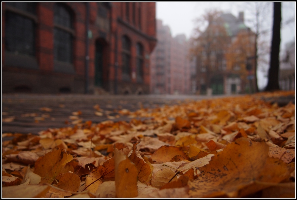 Herbst in der Speicherstadt