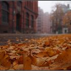 Herbst in der Speicherstadt