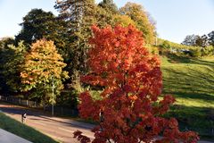 Herbst in der Stadt 01