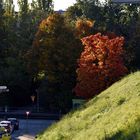 Herbst in der Stadt 03