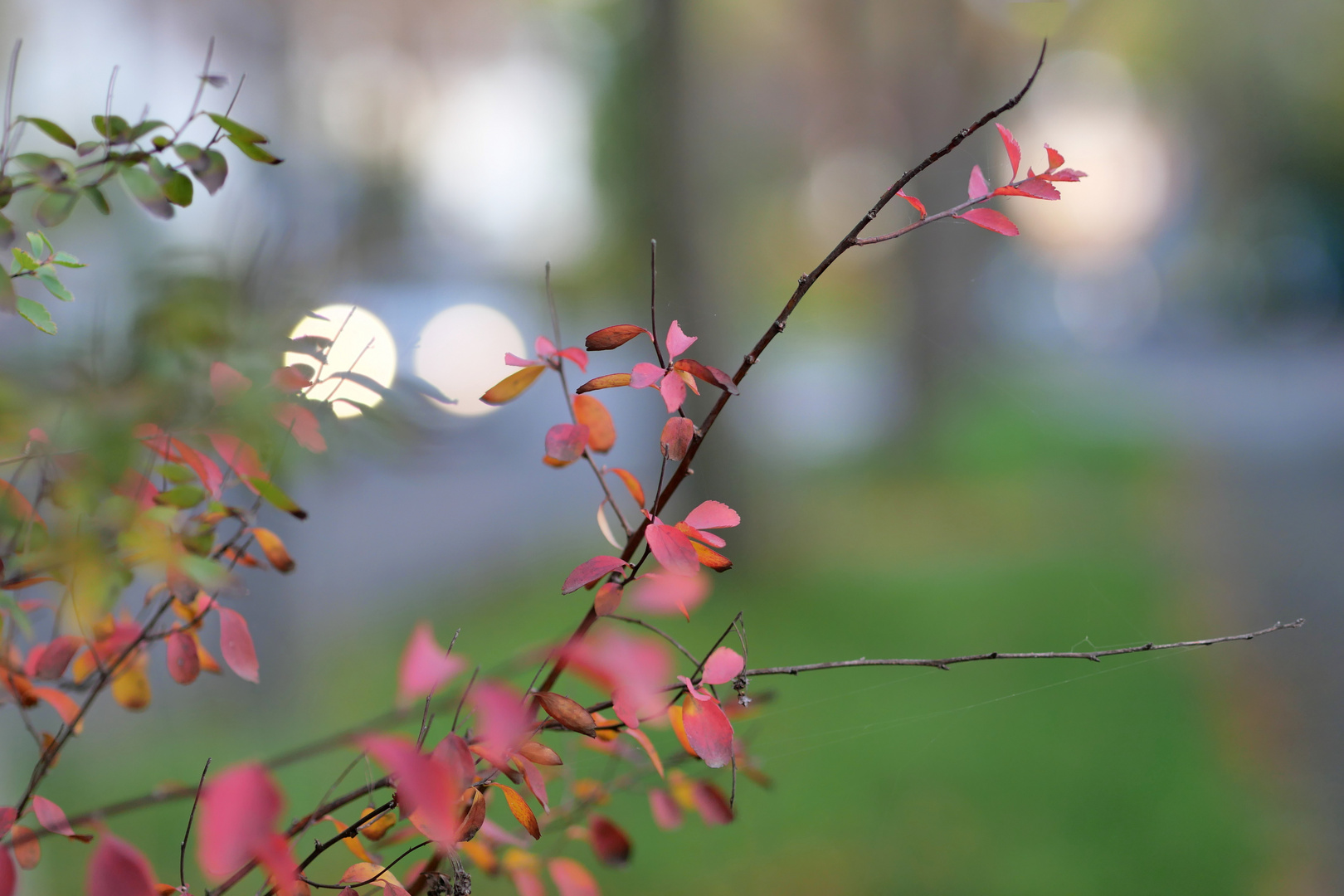 Herbst in der Stadt