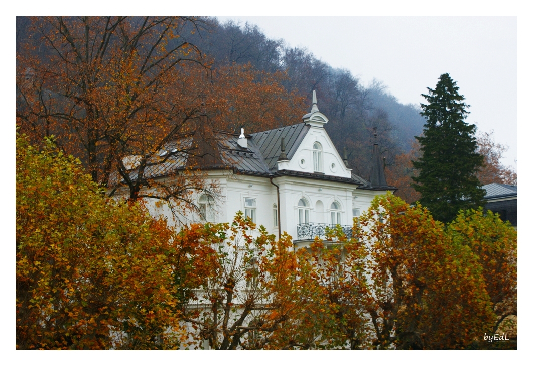 Herbst in der Stadt / 1