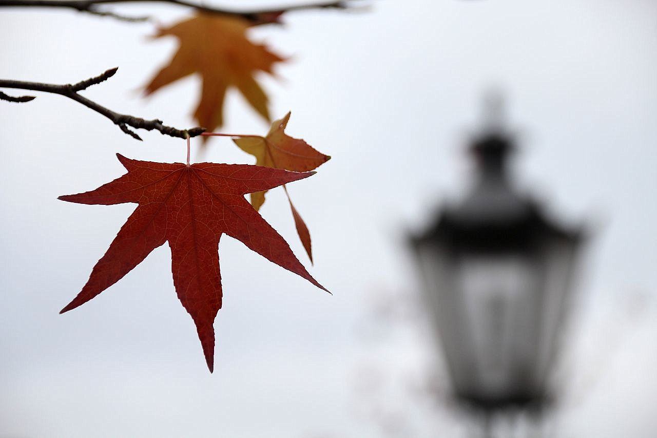 Herbst in der Stadt