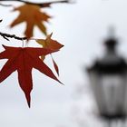 Herbst in der Stadt