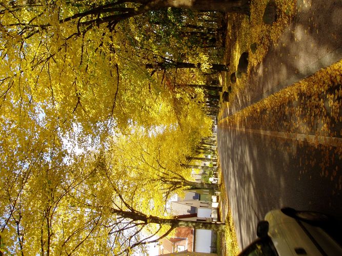 Herbst in der Stadt