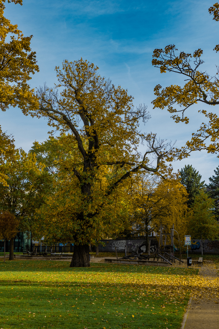 Herbst in der Stadt