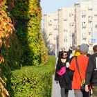 Herbst in der Stadt