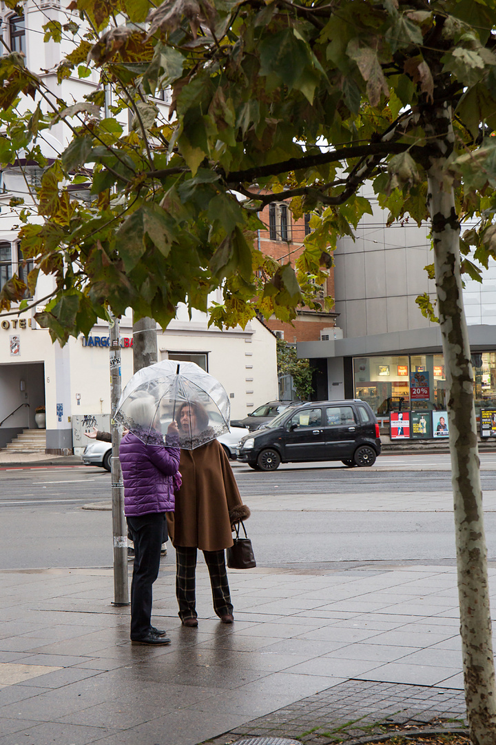 Herbst in der Stadt 2