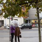 Herbst in der Stadt 2