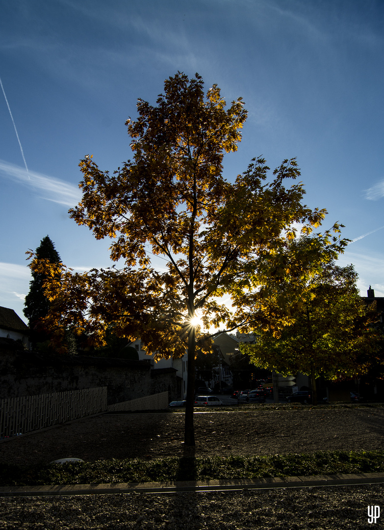 Herbst in der Stadt