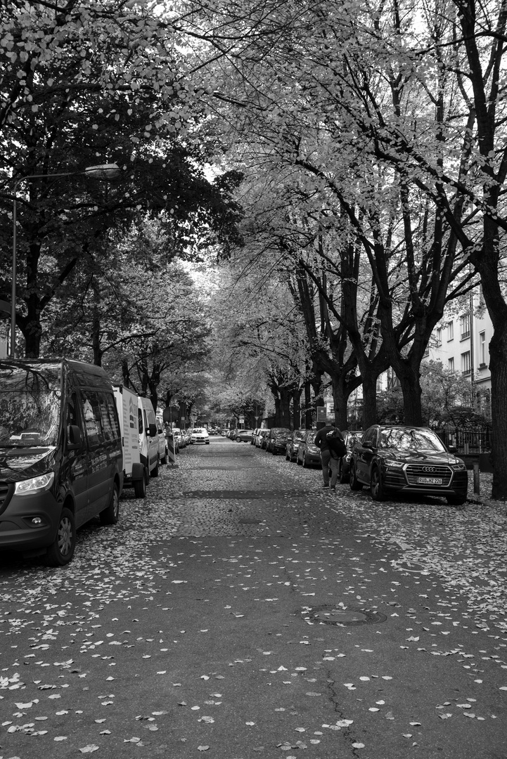 Herbst in der Stadt