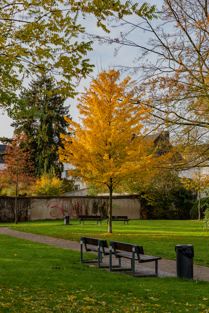 Herbst in der Stadt