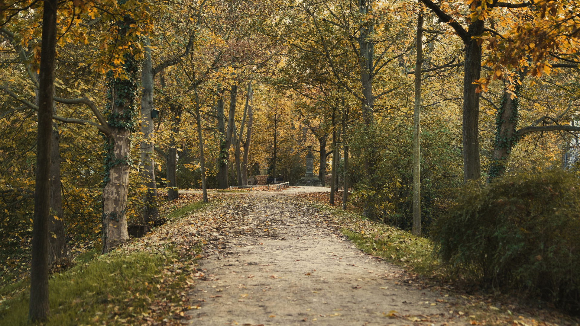 Herbst in der Stadt