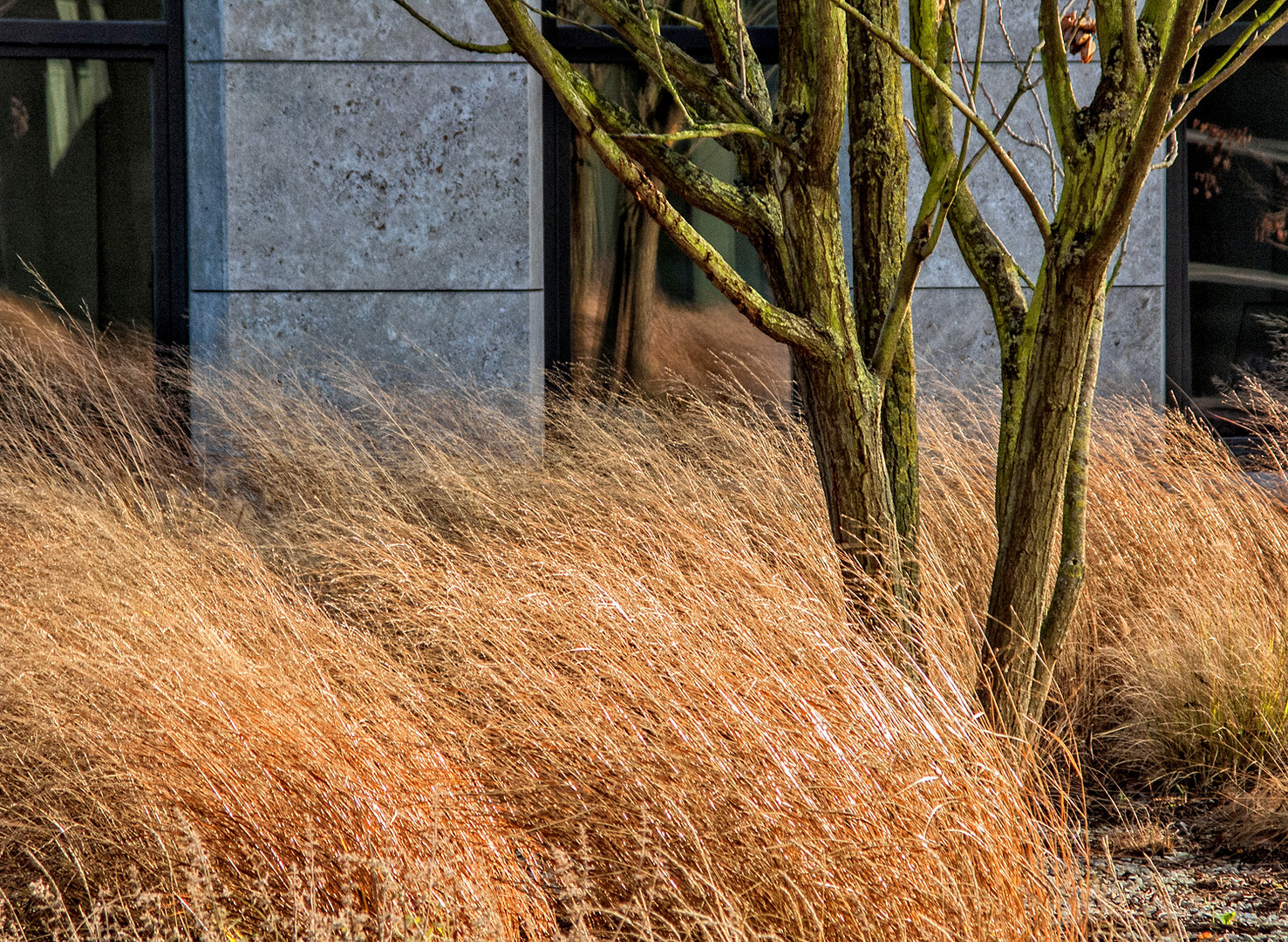 Herbst in der Stadt