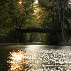 Herbst in der Stadt