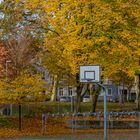 Herbst in der Stadt