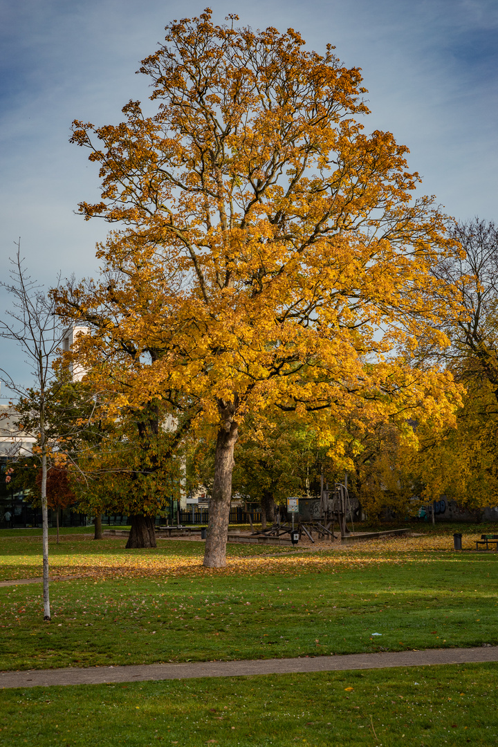 Herbst in der Stadt