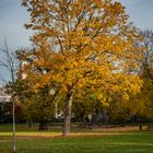 Herbst in der Stadt