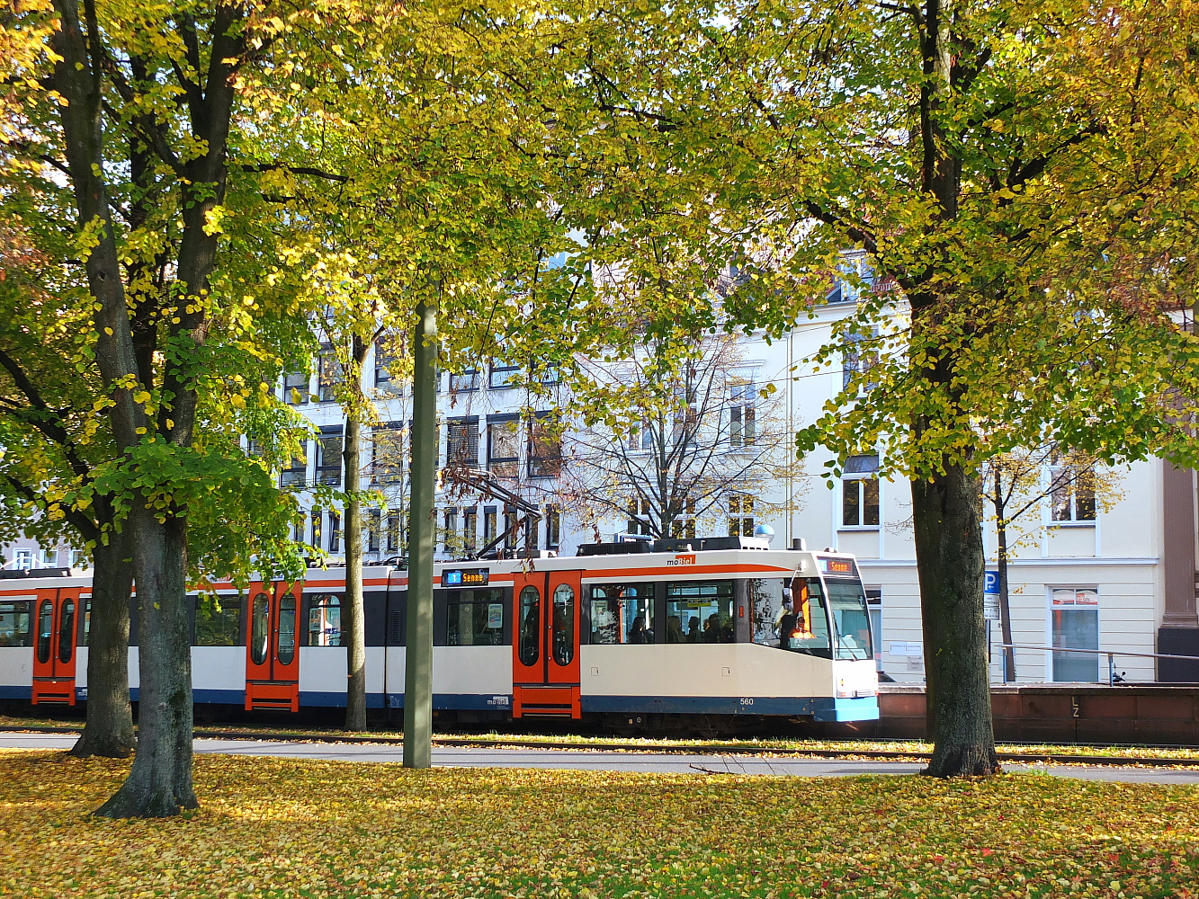 Herbst in der Stadt