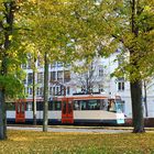 Herbst in der Stadt