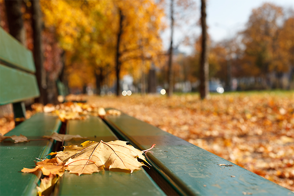 Herbst in der Stadt 5