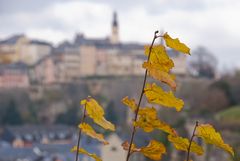 Herbst in der Stadt