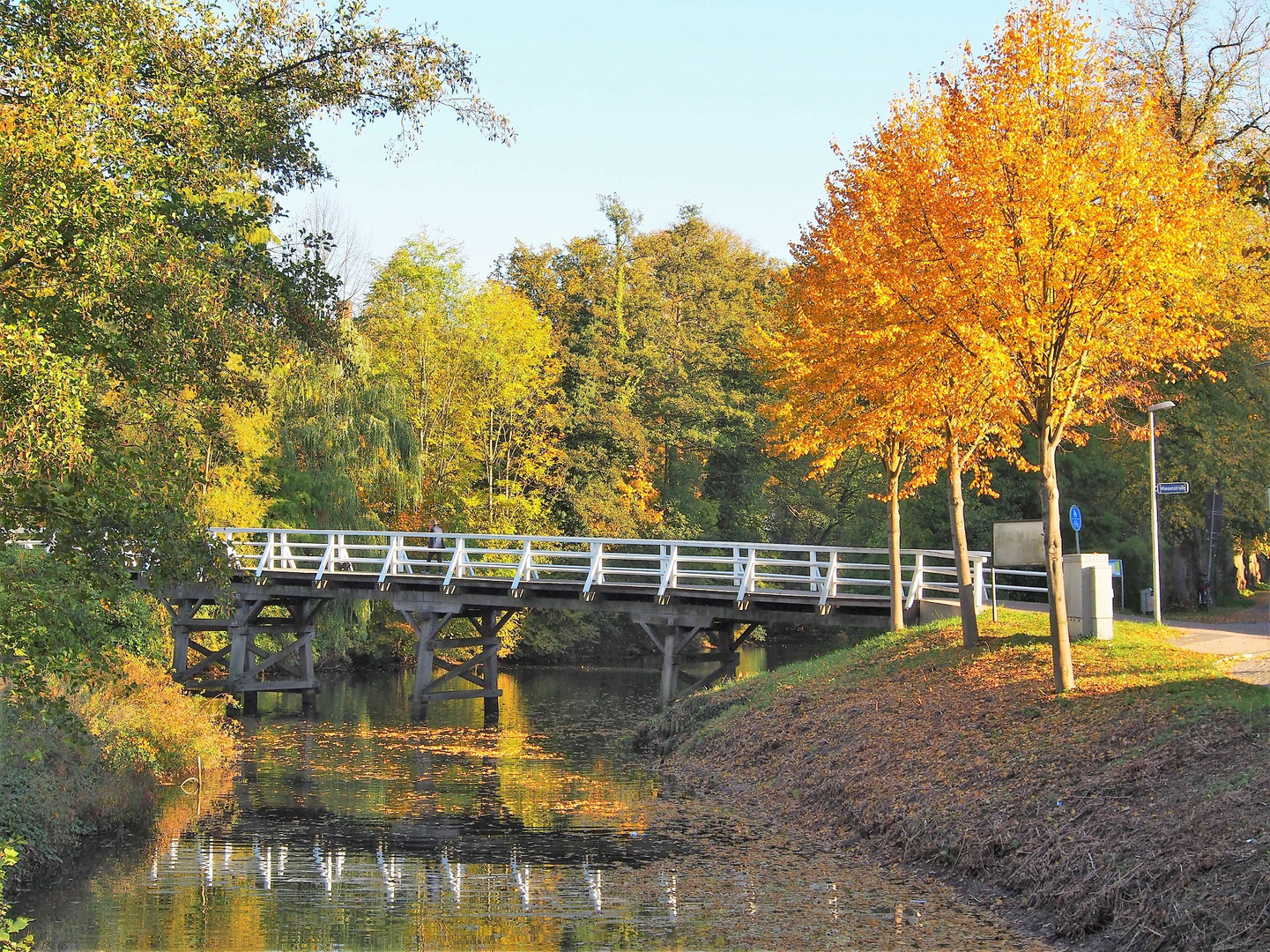 Herbst in der Stadt