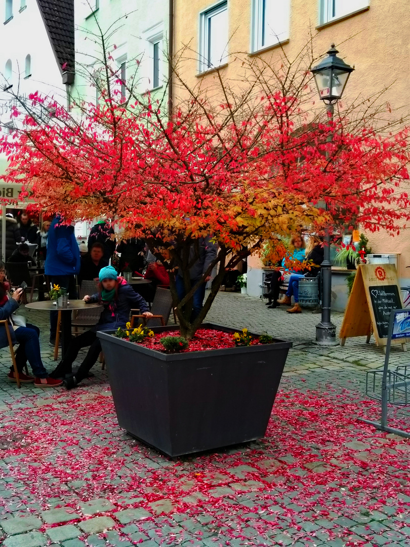 Herbst in der Stadt