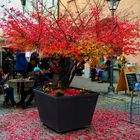 Herbst in der Stadt